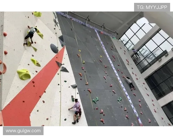 重庆攀岩队与南京攀岩队赛后战术分析与总结